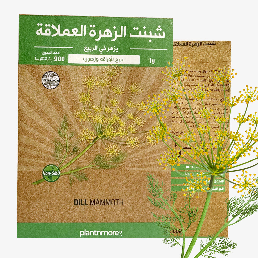 Dill Mammoth