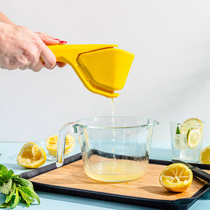 Fluicer Lemon Juicer