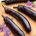 Long Purple eggplant — ripe fruit