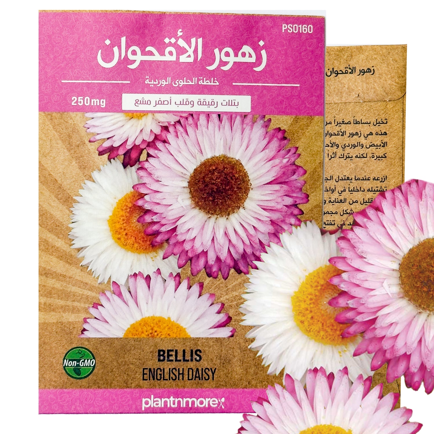 زهور الأقحوان