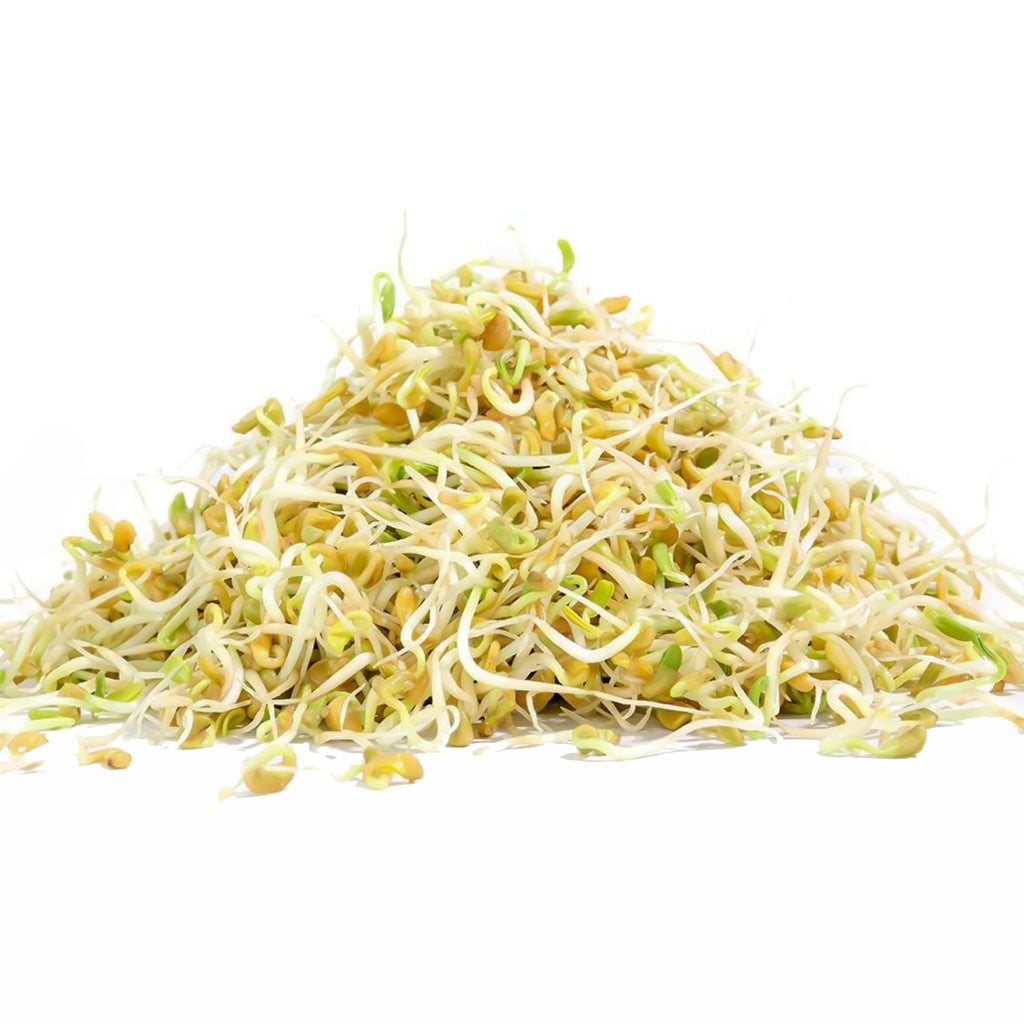 Fenugreek Seeds 110g