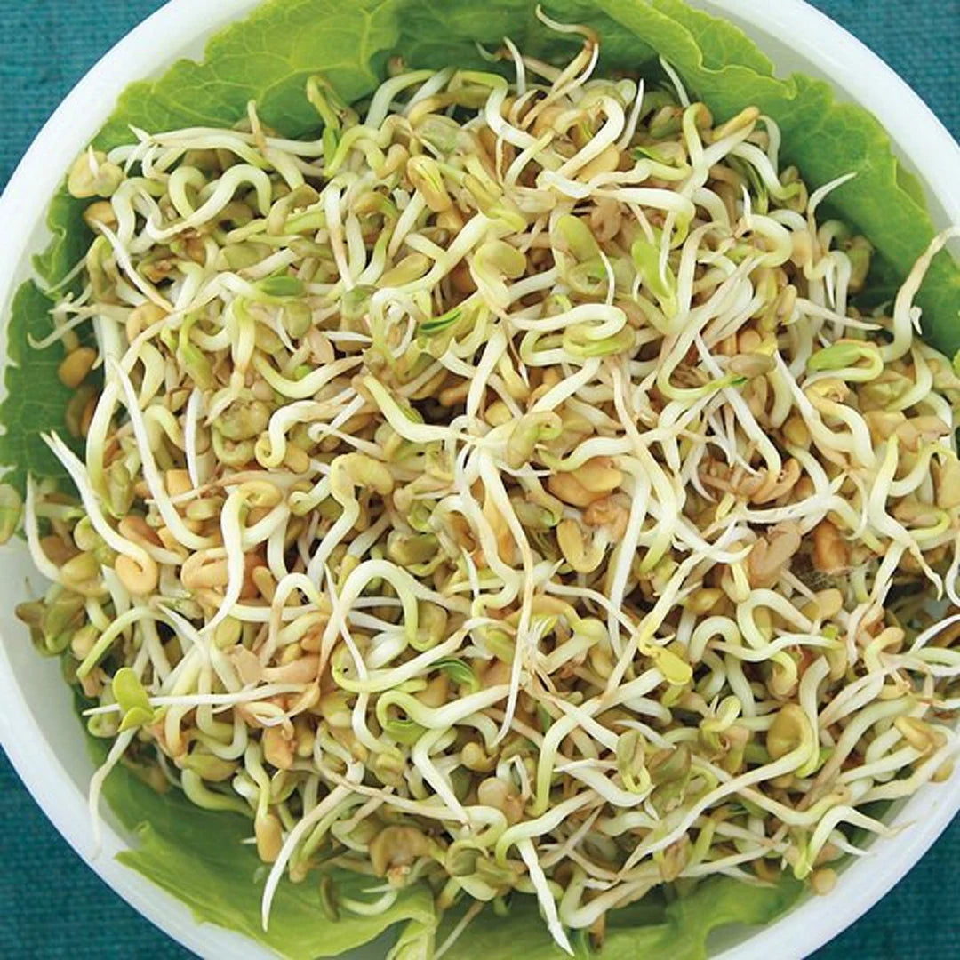 Fenugreek Seeds 110g