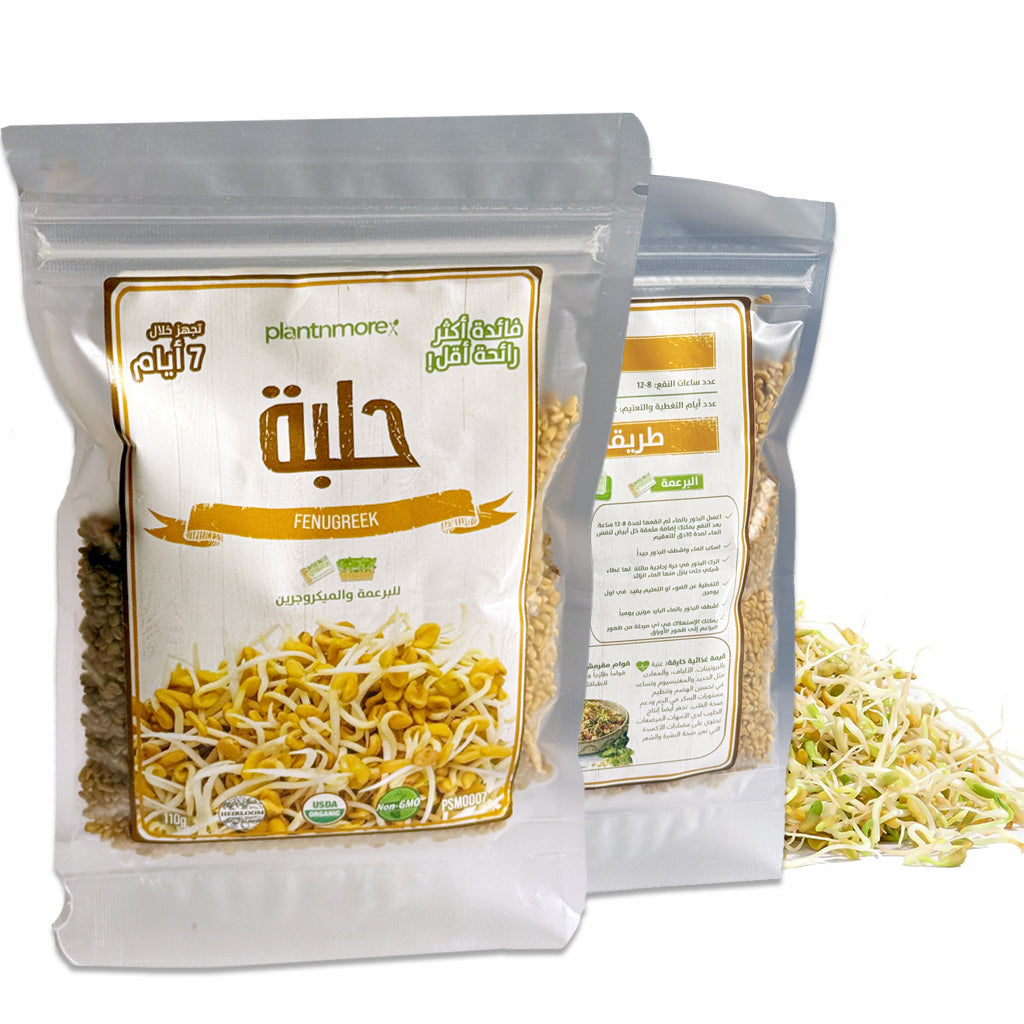 Fenugreek Seeds 110g