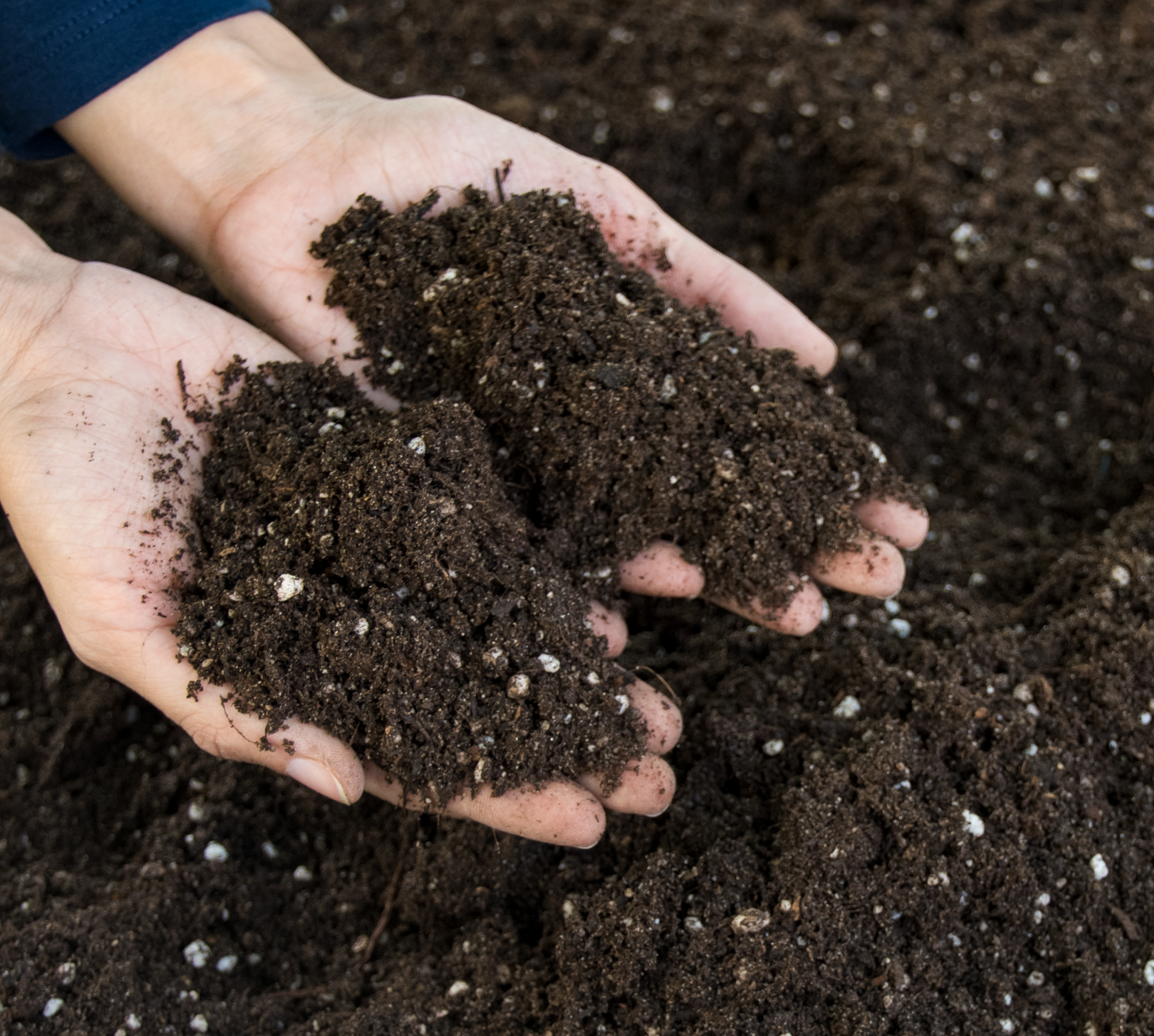 Homemade potting mix