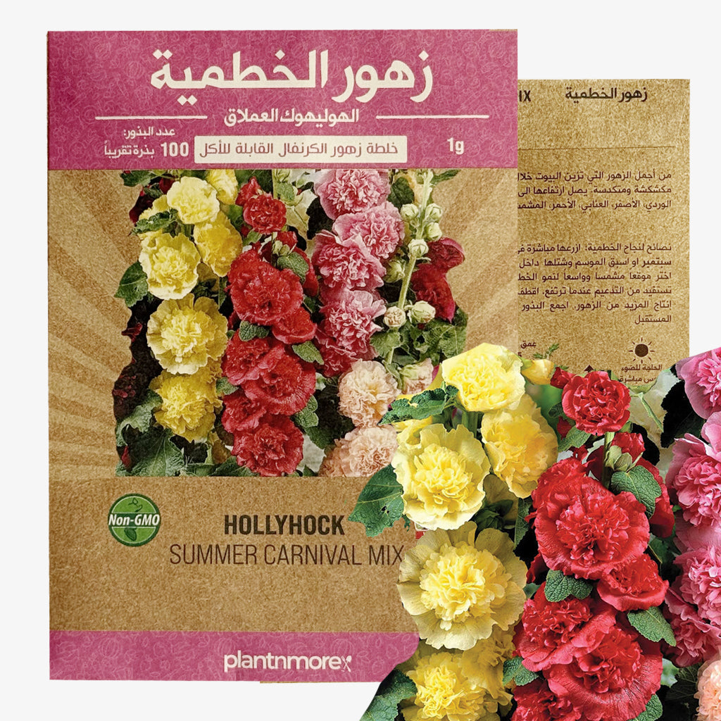 Hollyhock Summer Carnival Mix
