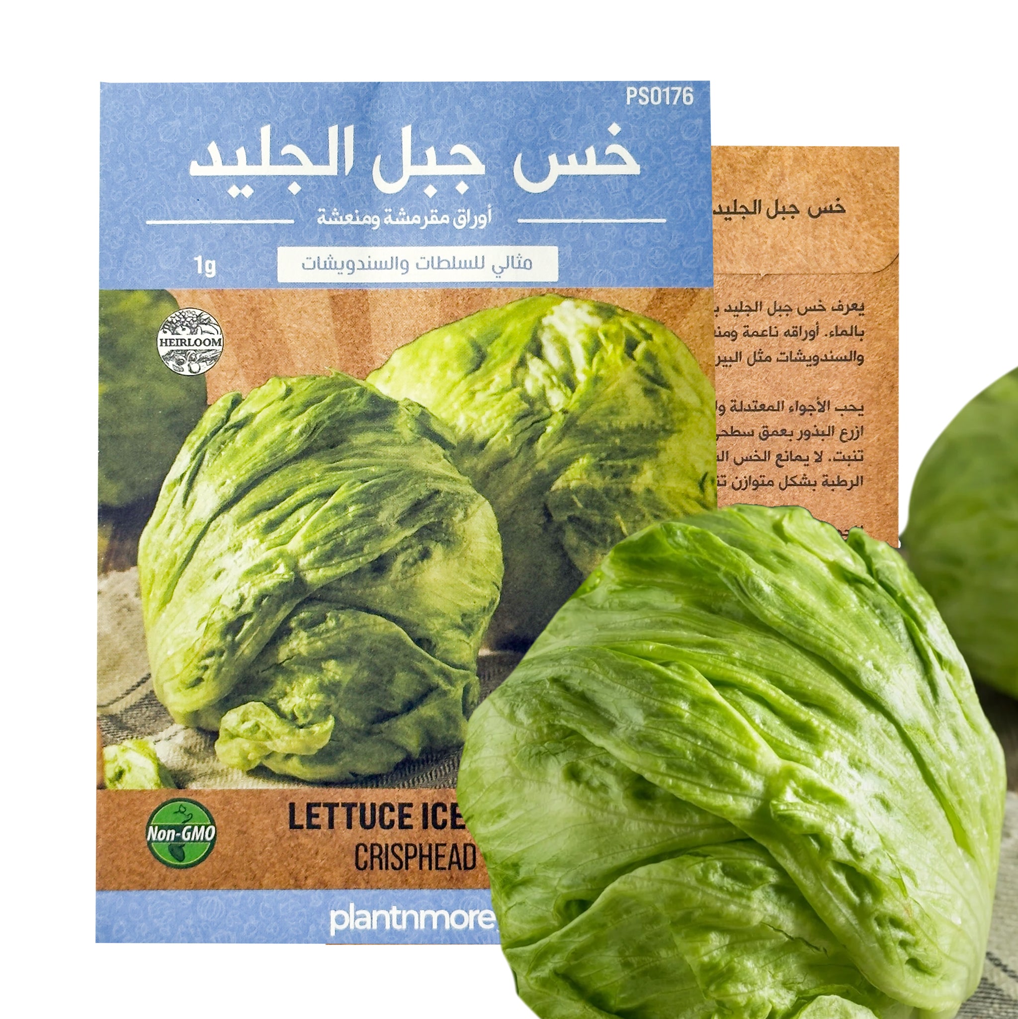 Lettuce Iceburg Crisphead