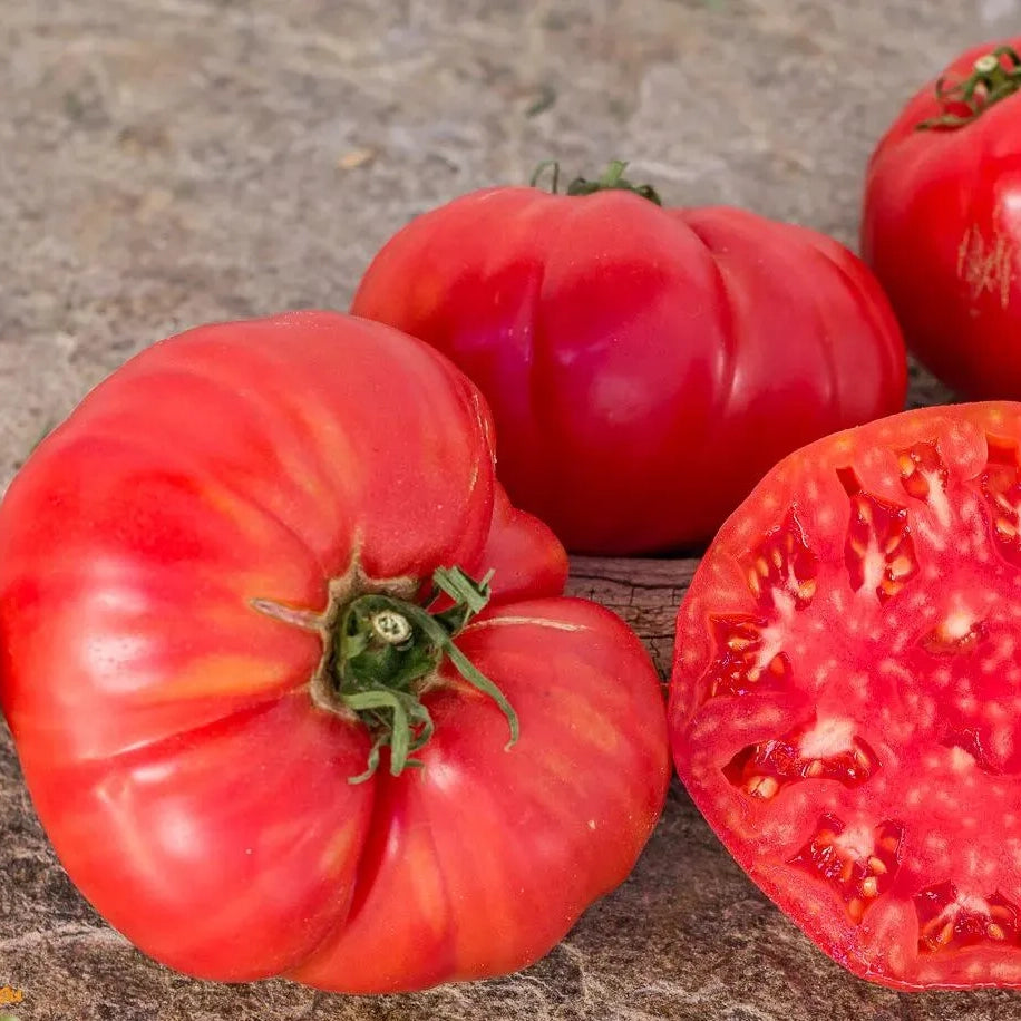 Tomato Soldacki