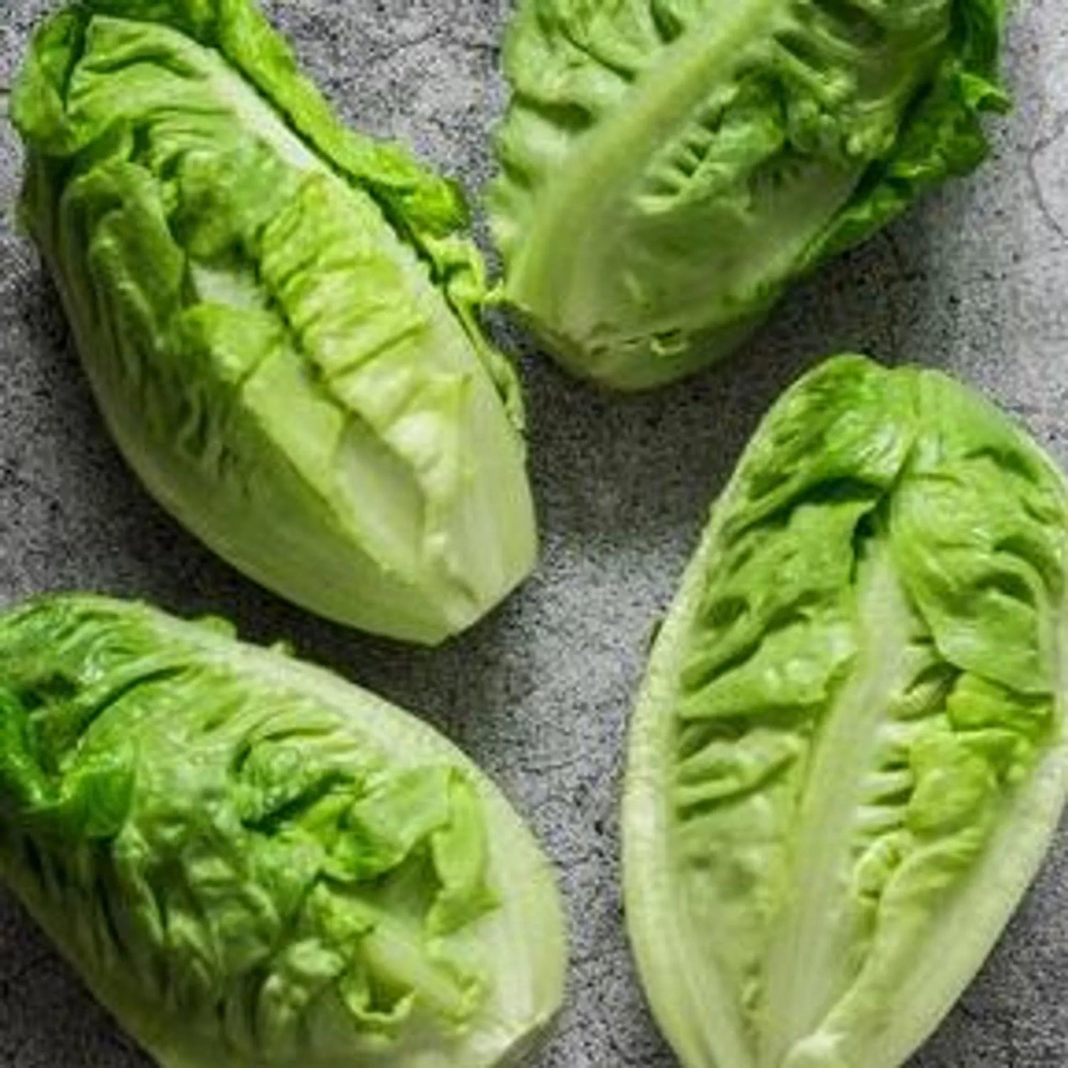 Lettuce Romaine Little Caesar