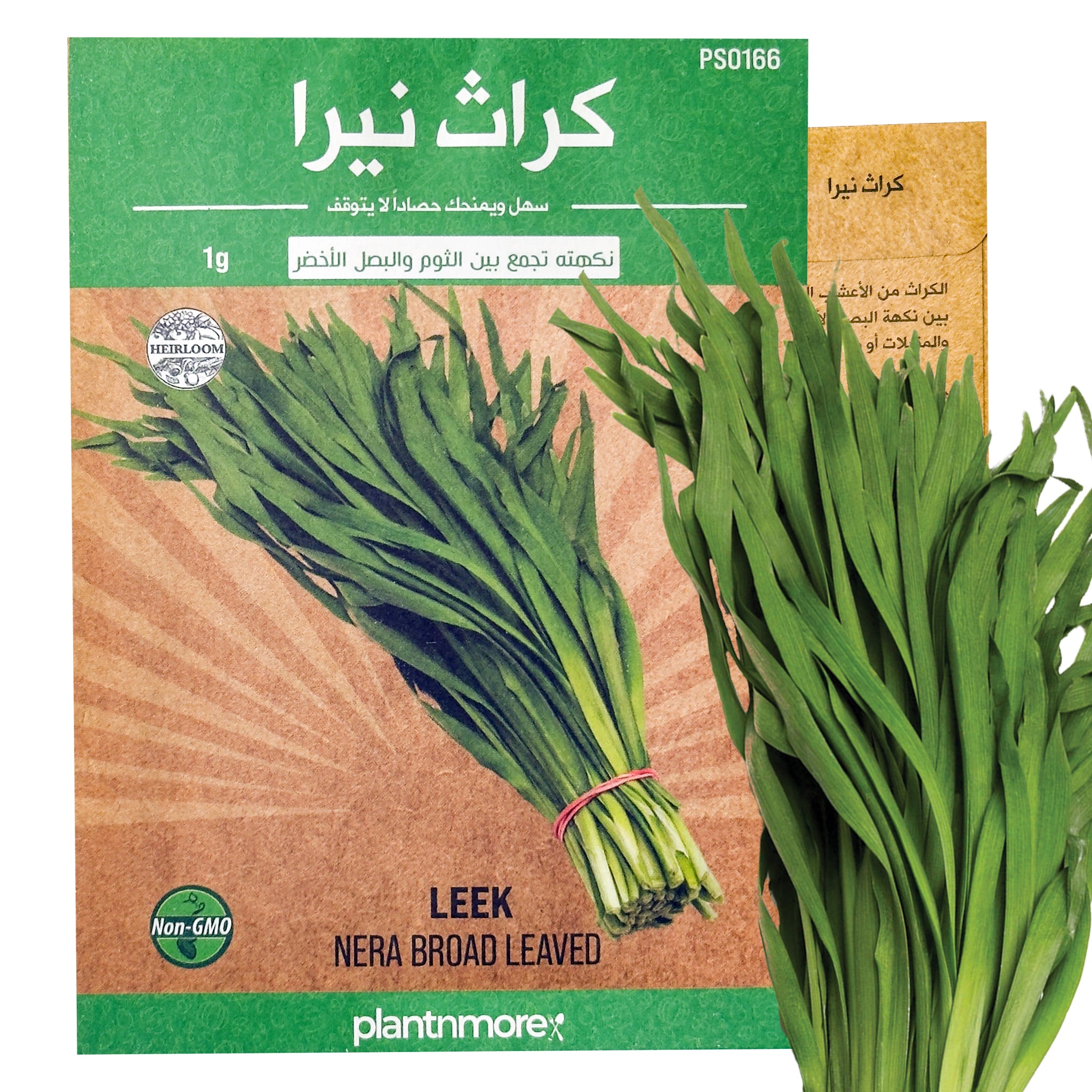 Chinese Leek Broad Leaved Nira