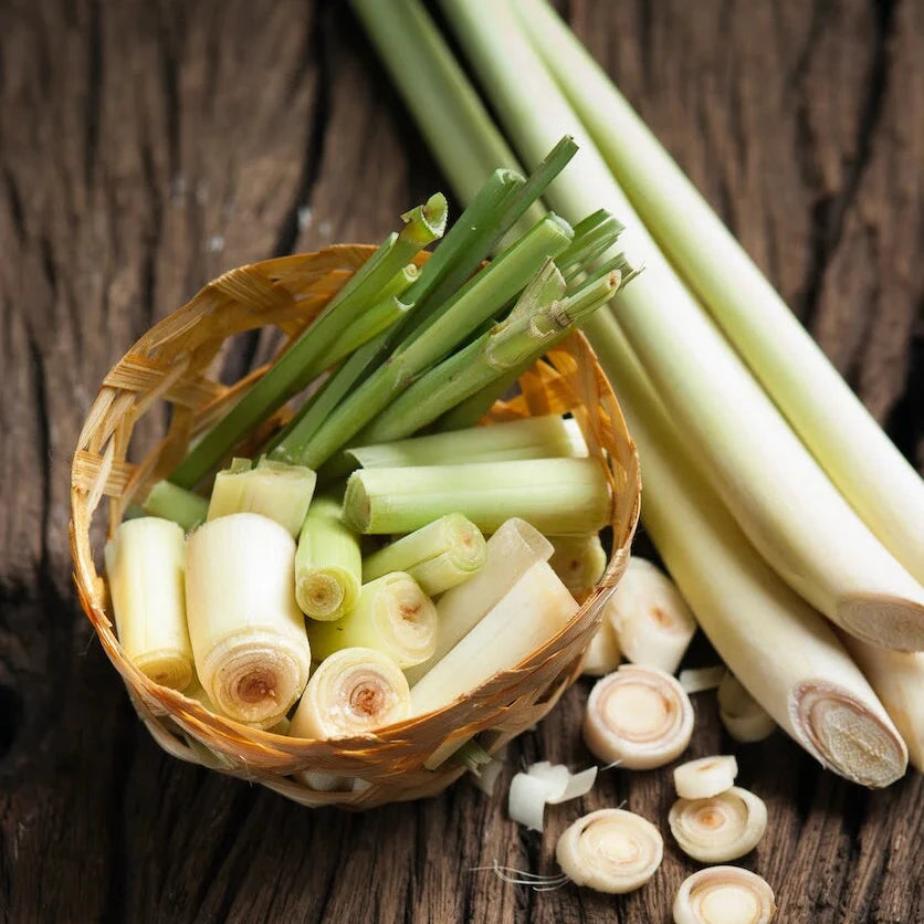 Lemon Grass