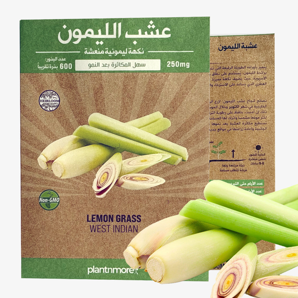 Lemon Grass