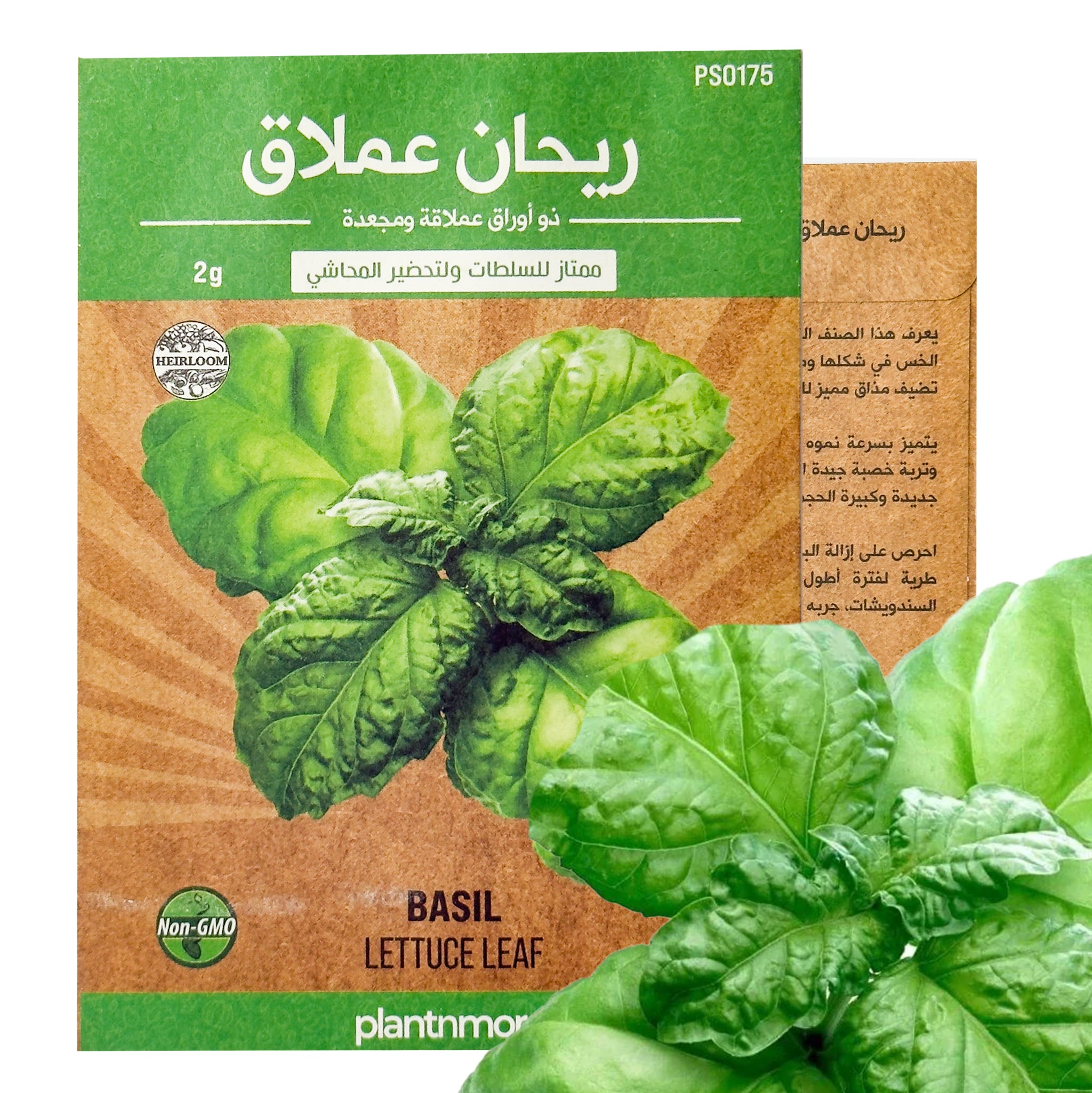Basil Lettuce Leaf
