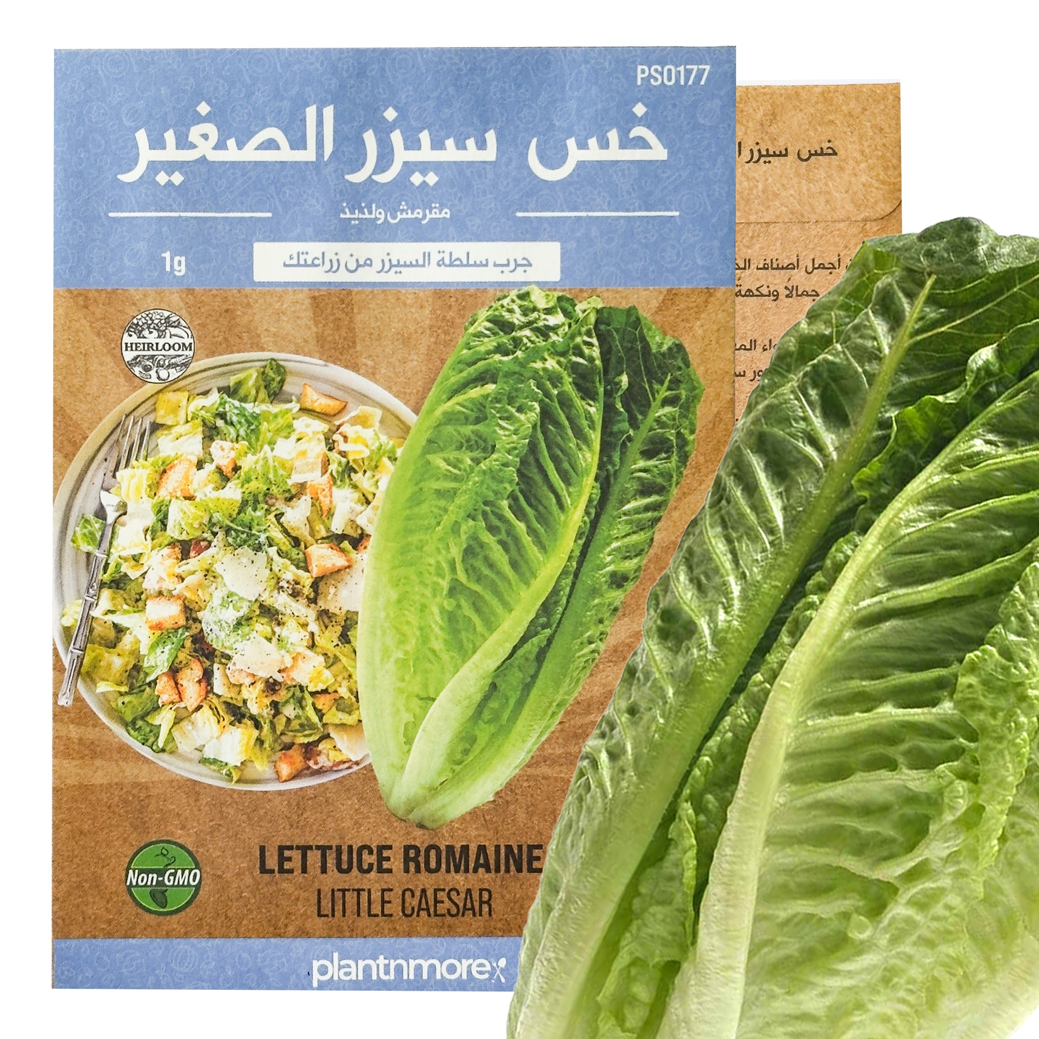 Lettuce Romaine Little Caesar