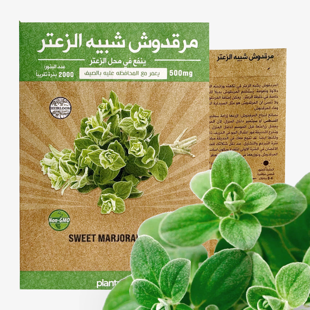 Sweet Marjoram