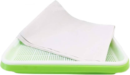 Microgreen Paper Sheets