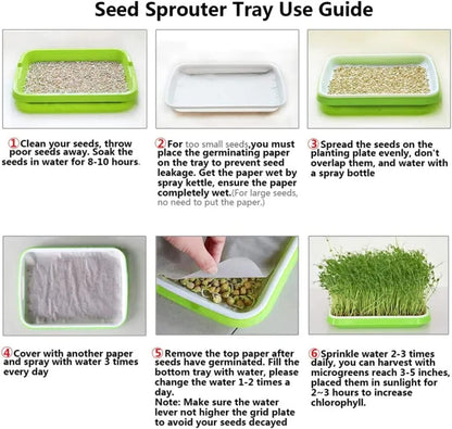 Microgreen Paper Sheets