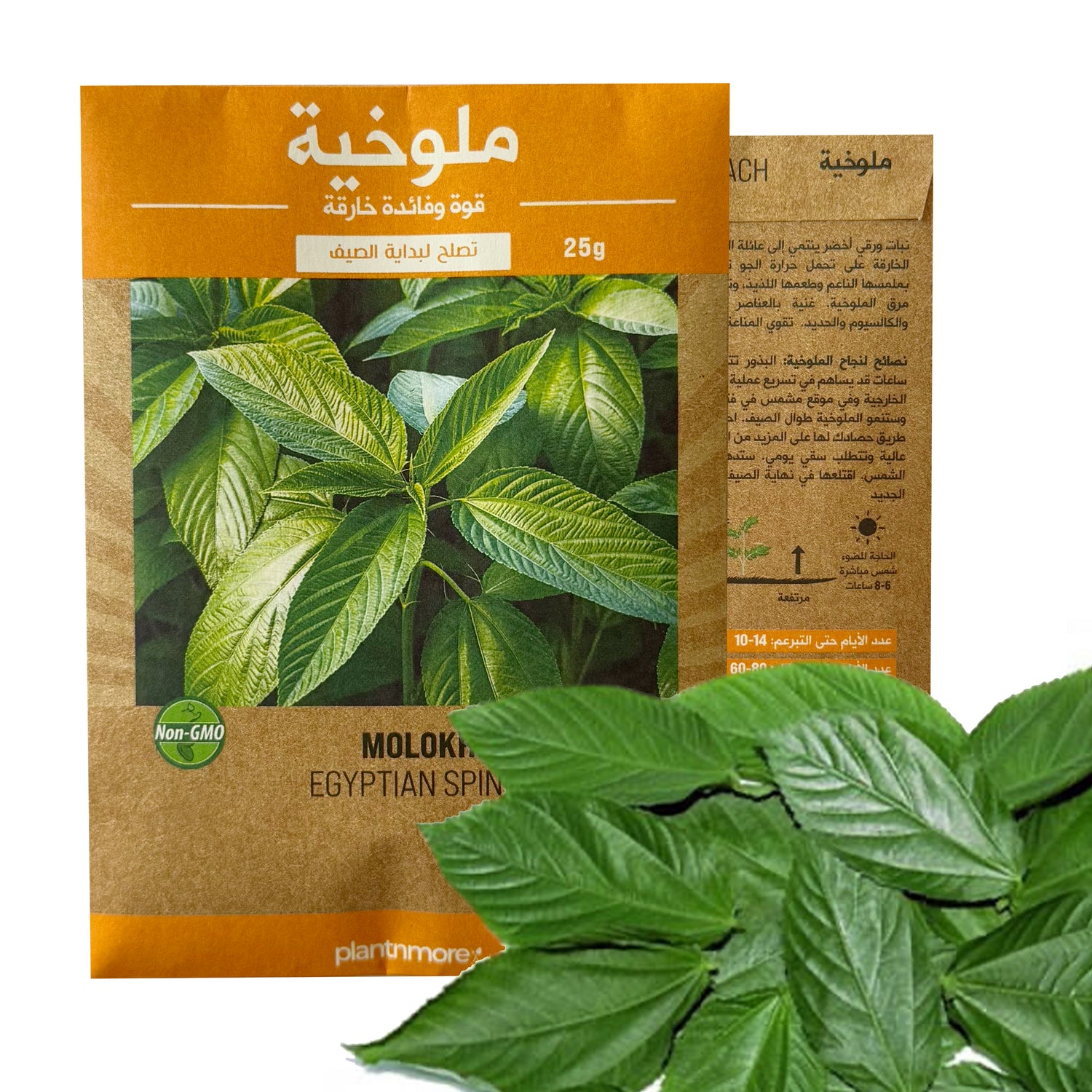 ملوخية