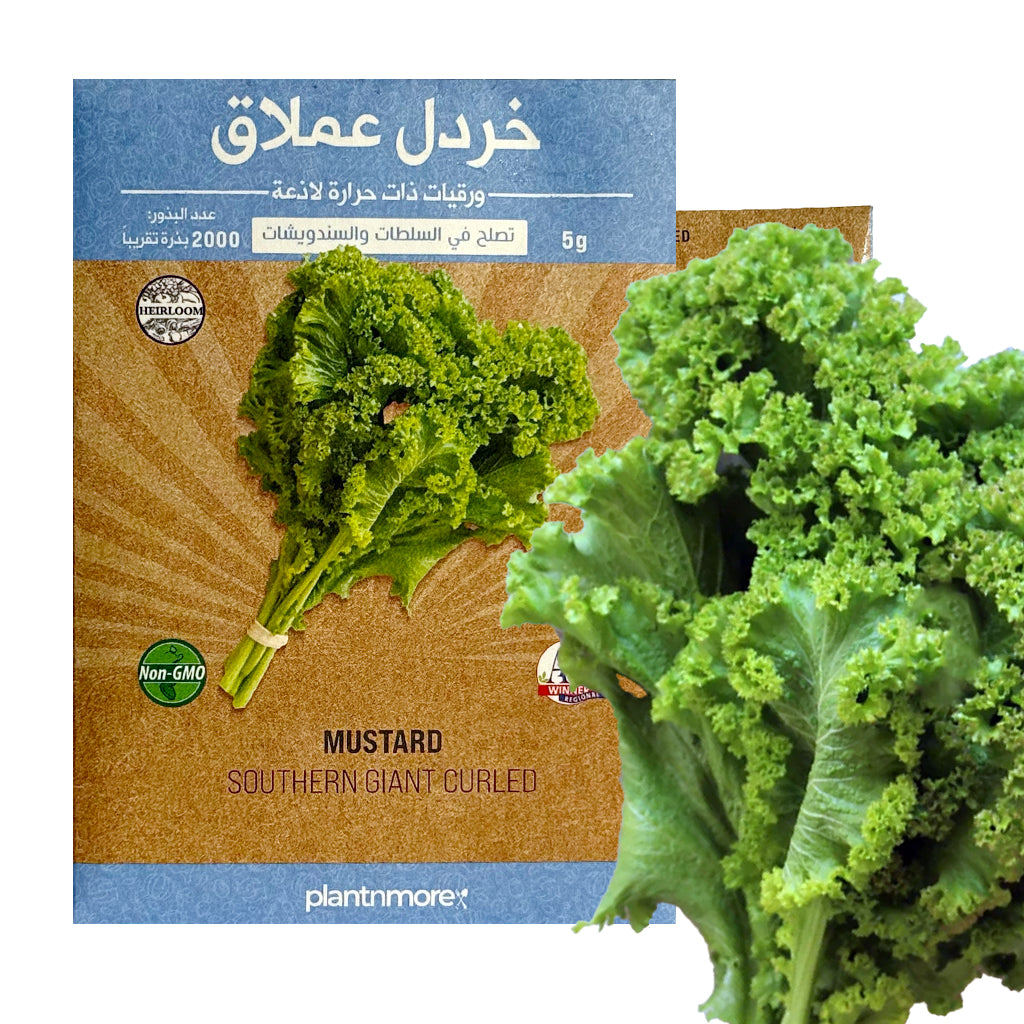 خردل عملاق