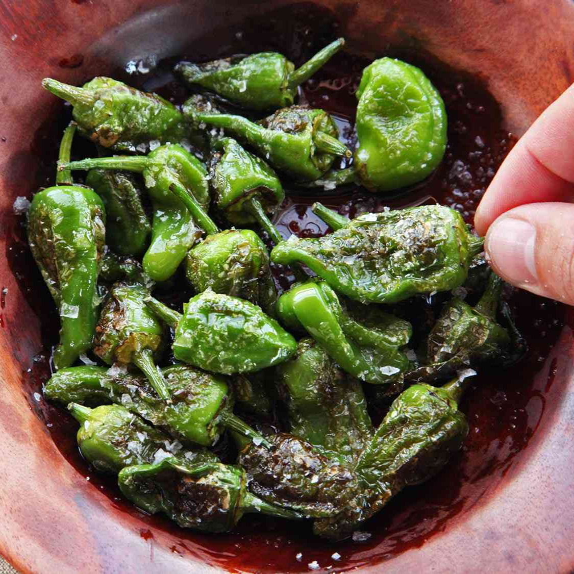 Pepper Padron Plant