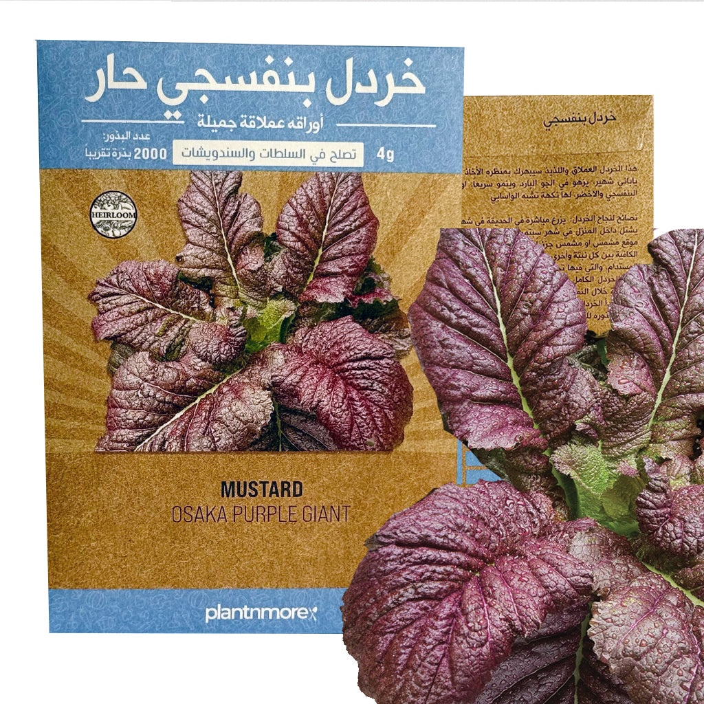 خردل أوساكا البفنسجي