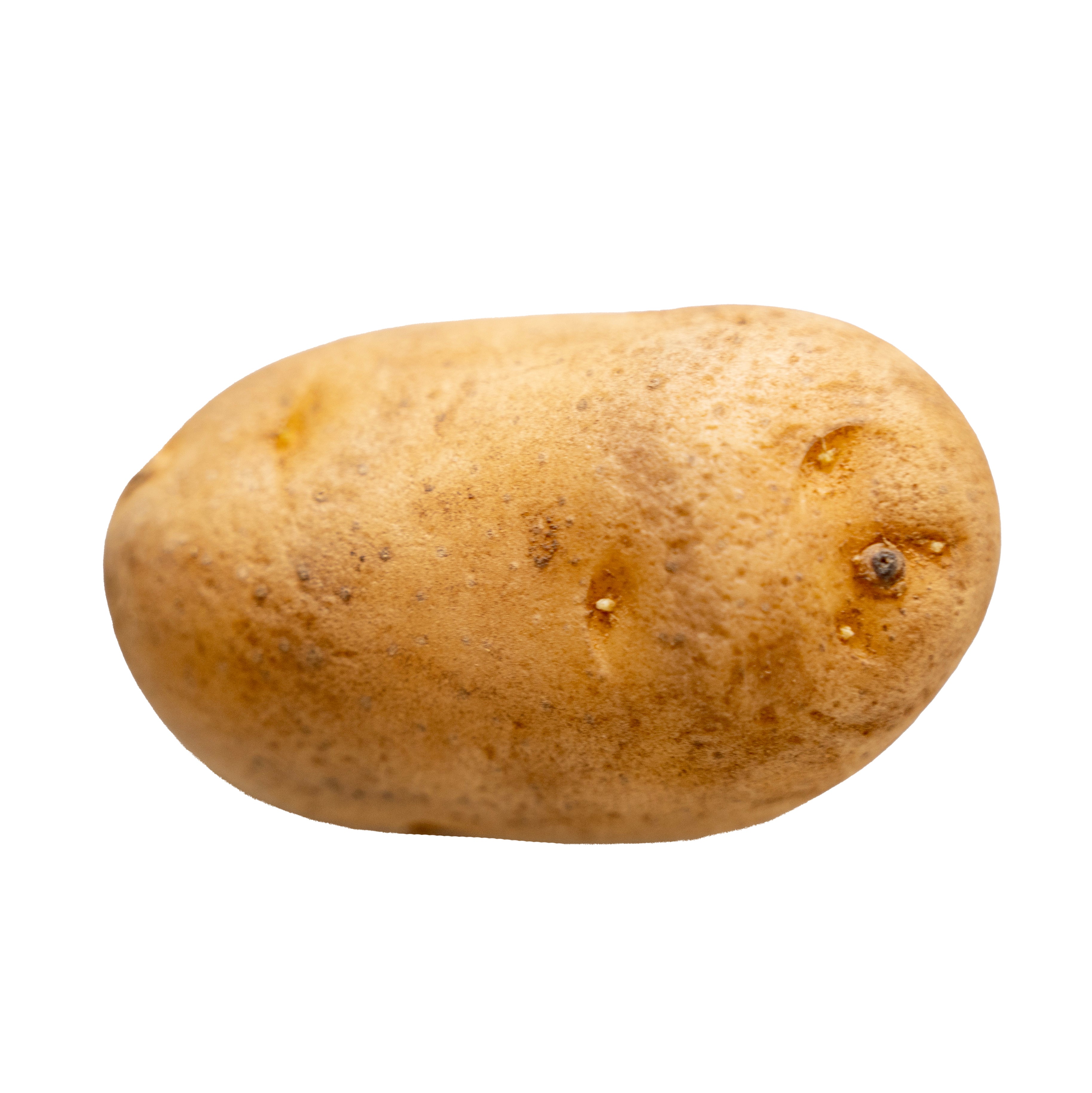 Panamera Potato
