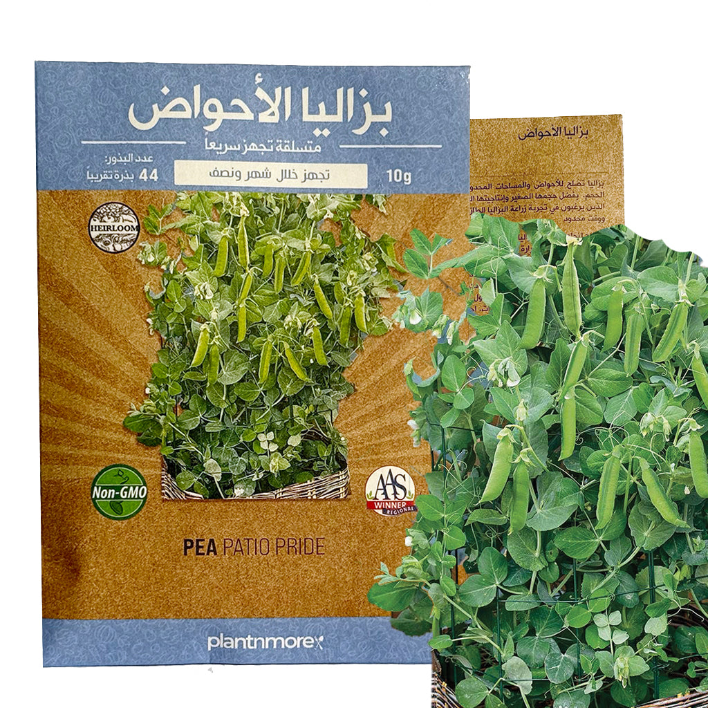 بزاليا الأحواض