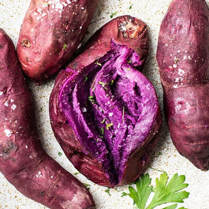 أغصان البطاطا الحلوة البنفسجية للتجذير