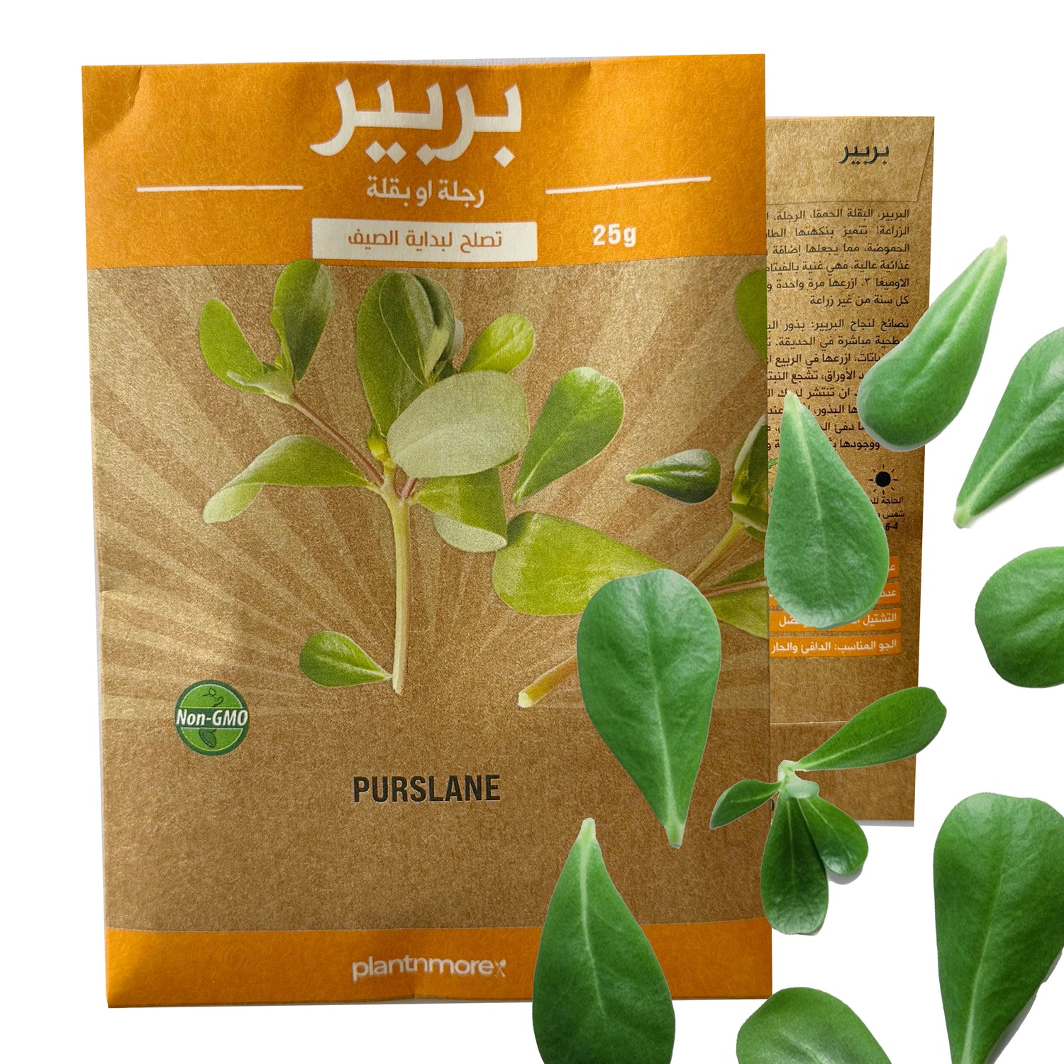 الرجلة او البربير