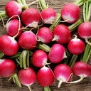 فجل البطل
