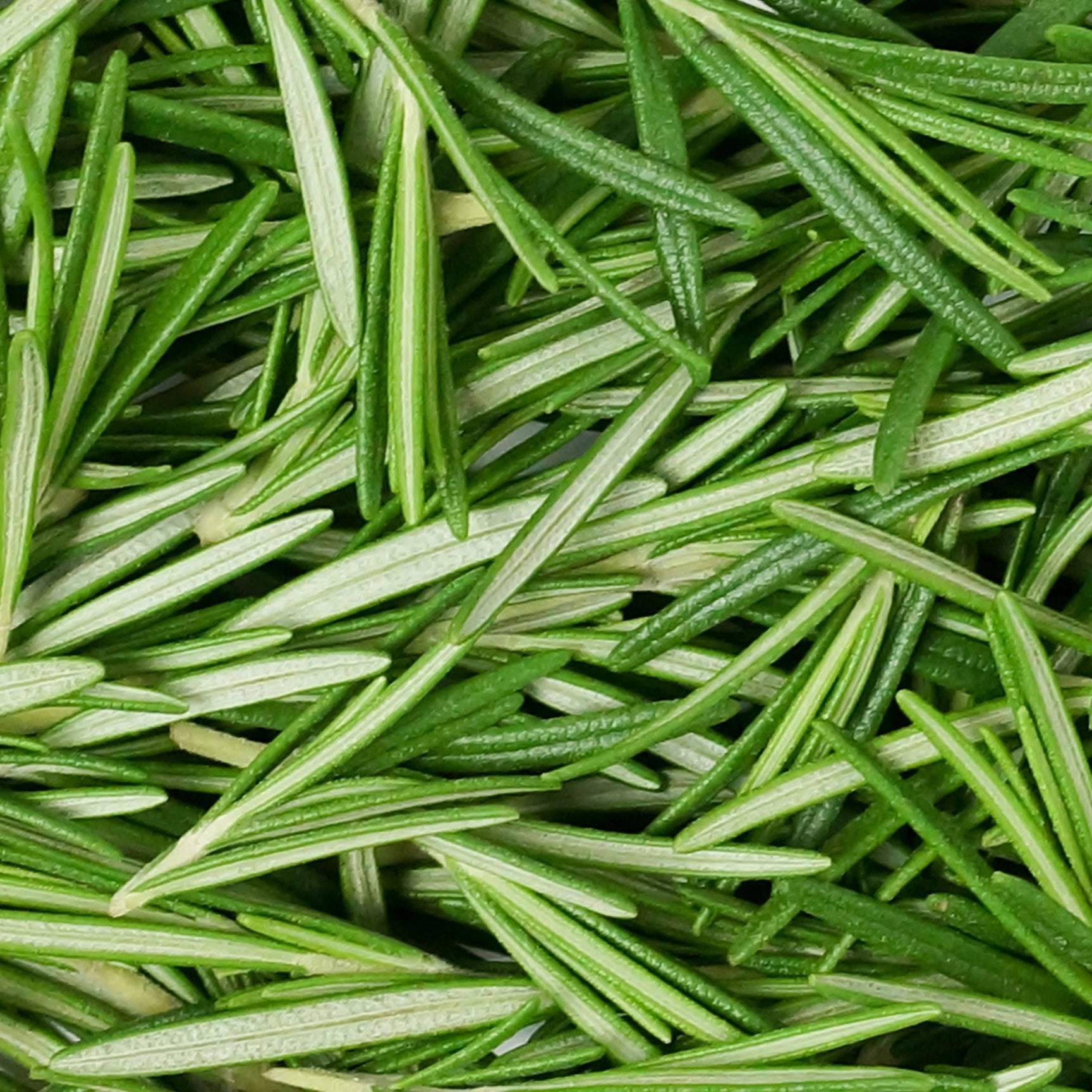 Rosemary