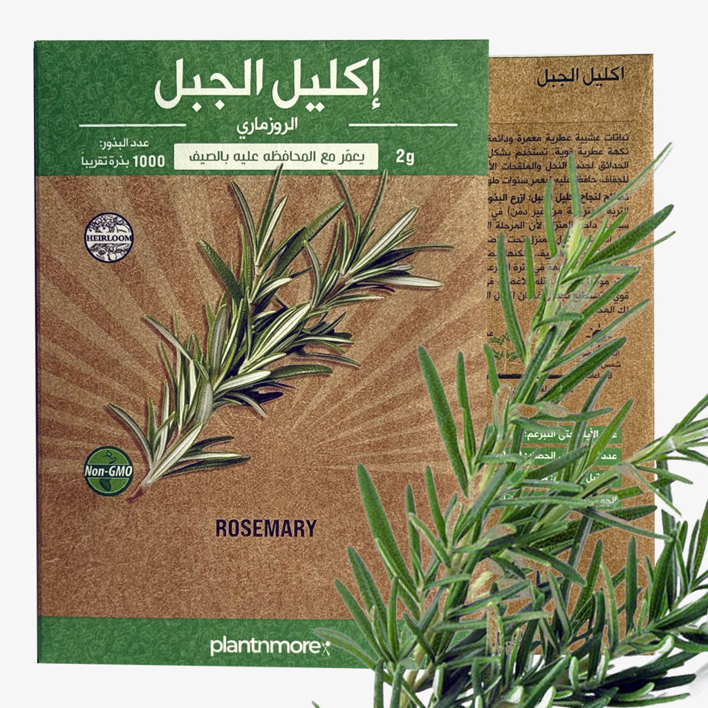 Rosemary