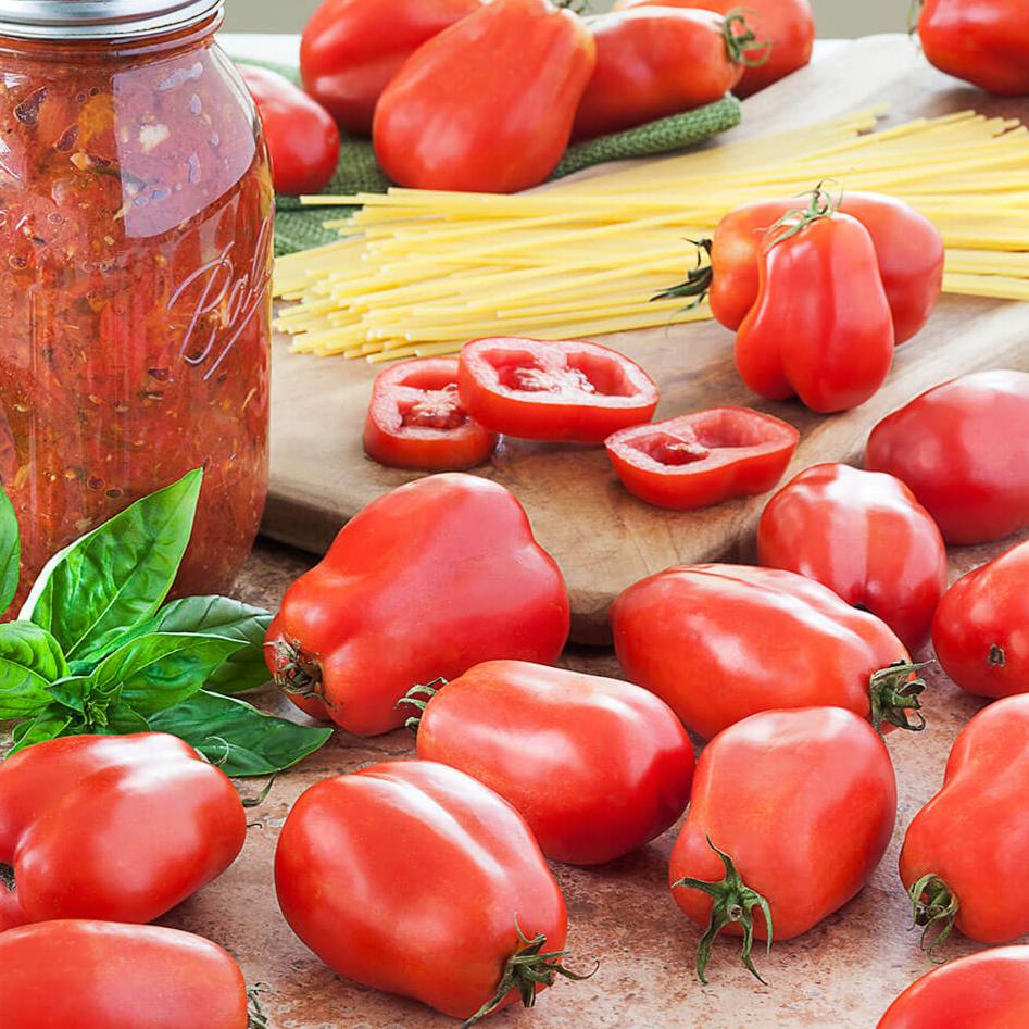 San Marzano tomato — ripe fruit