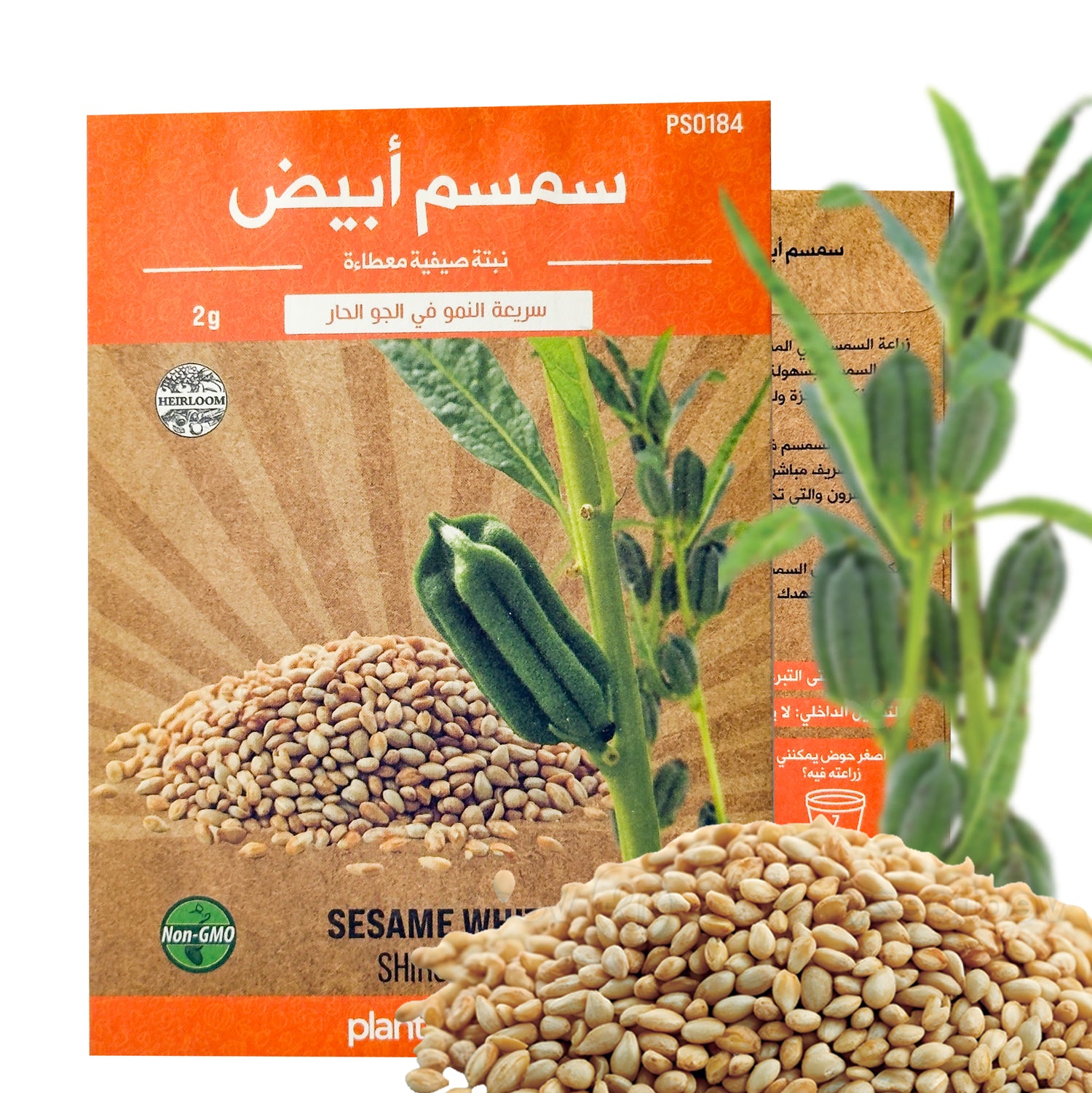 سمسم أبيض