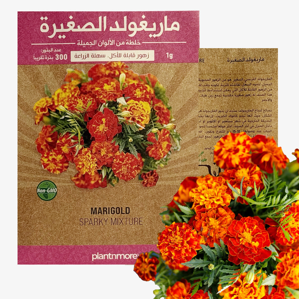 Marigold Sparky Mixture