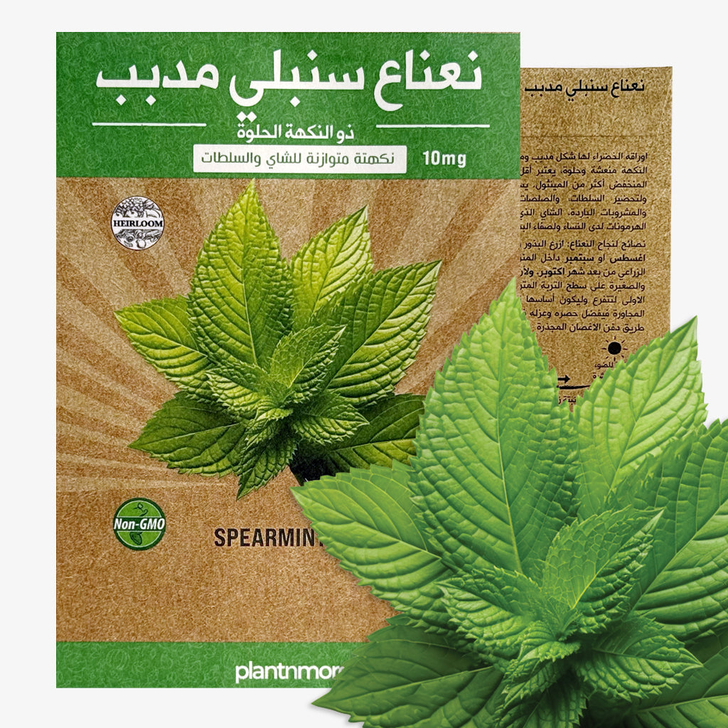 Spearmint