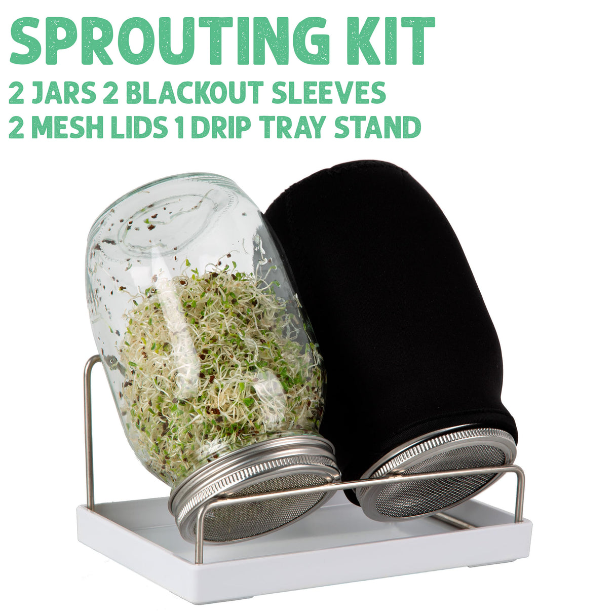 Sprouting Double Jar Kit