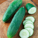 Cucumber Straight Eight