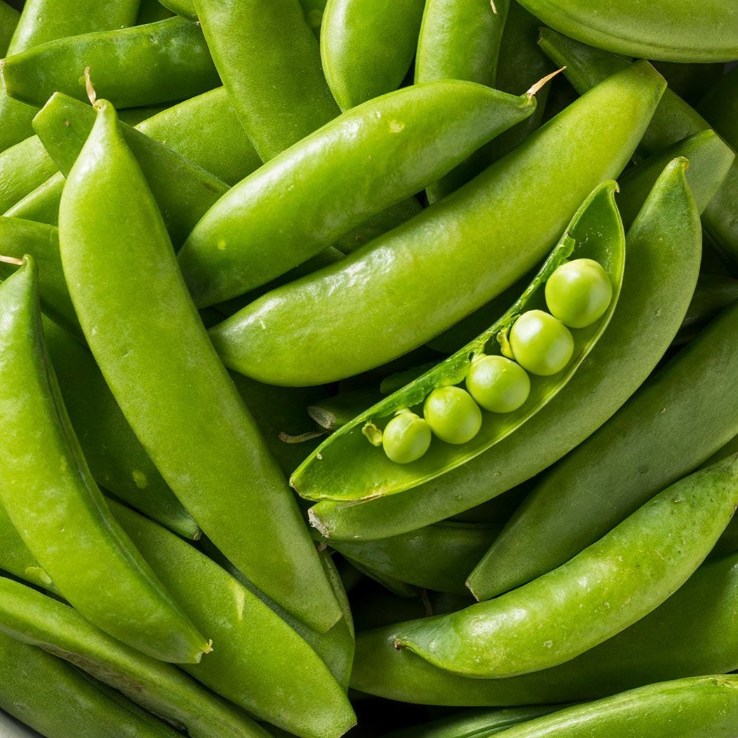 Pea Super Sugar Snap