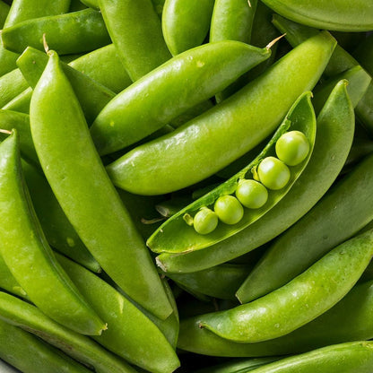 Pea Super Sugar Snap