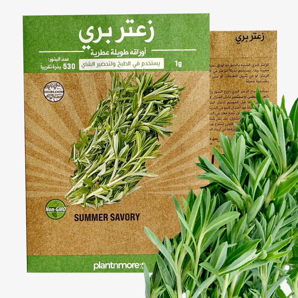 Summer Savory