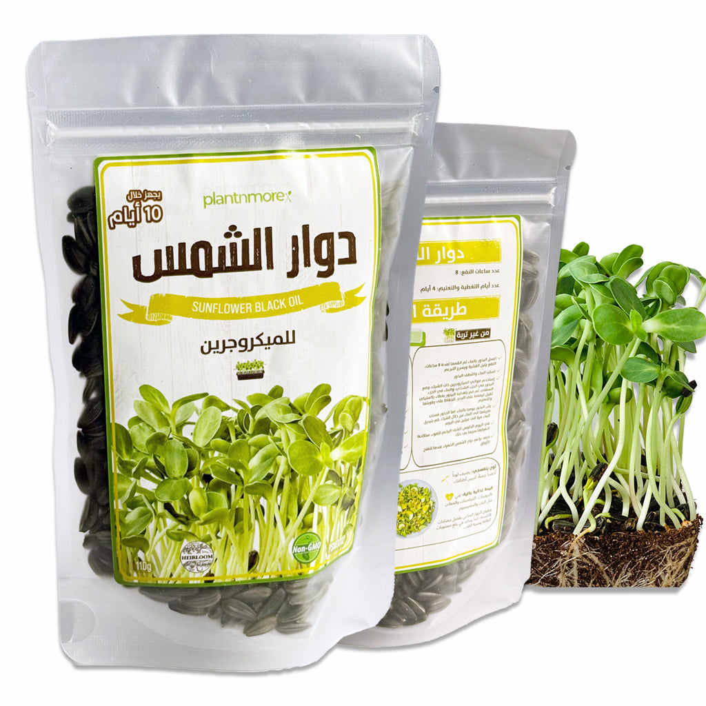 Sunflower Black Oil Seeds 110g