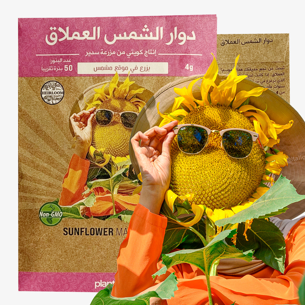Sunflower Mammoth