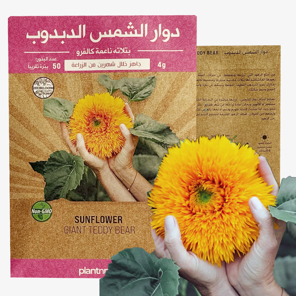 Sunflower Giant Teddy Bear