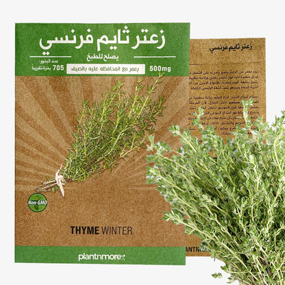 Thyme Winter
