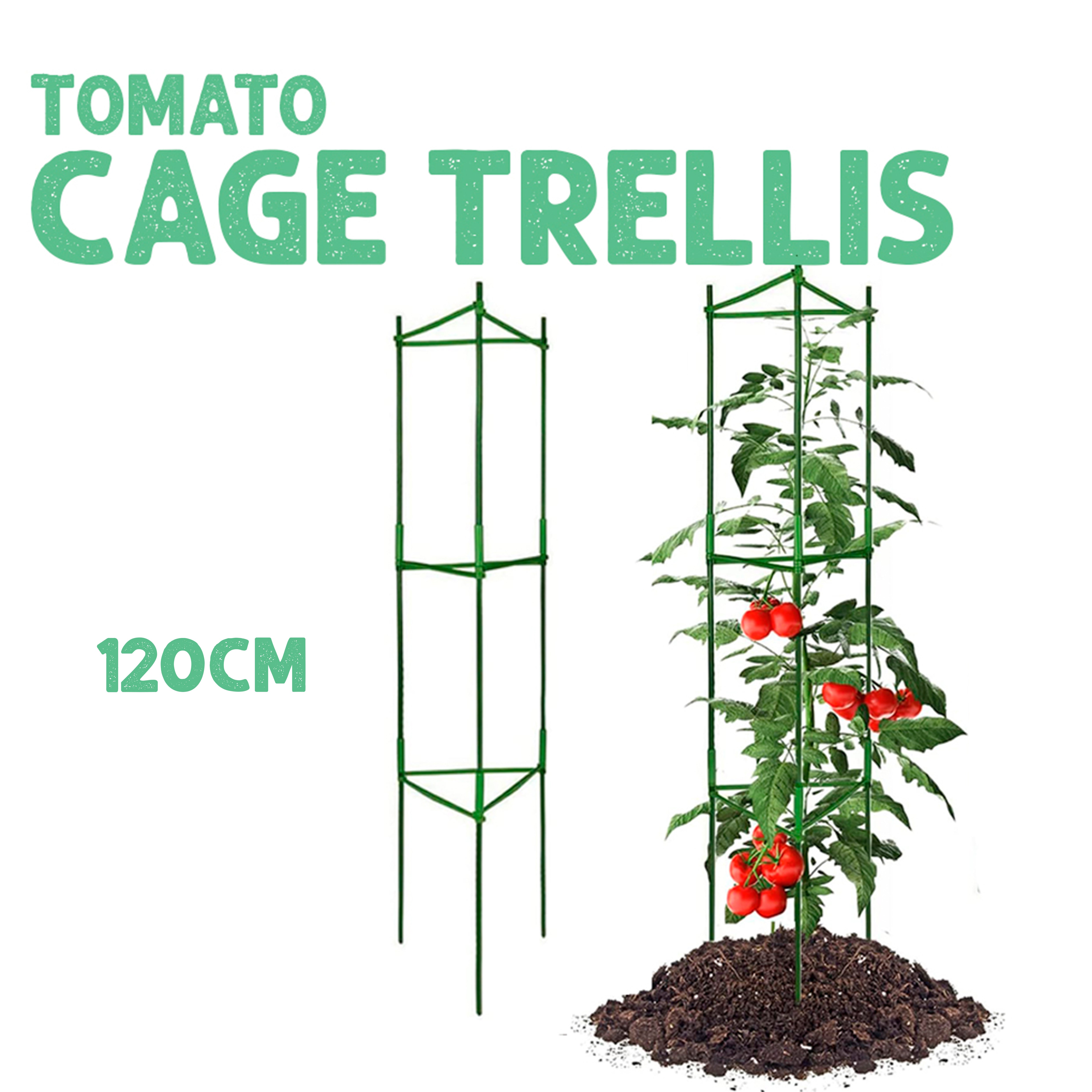Tomato Cage Trellis 120cm