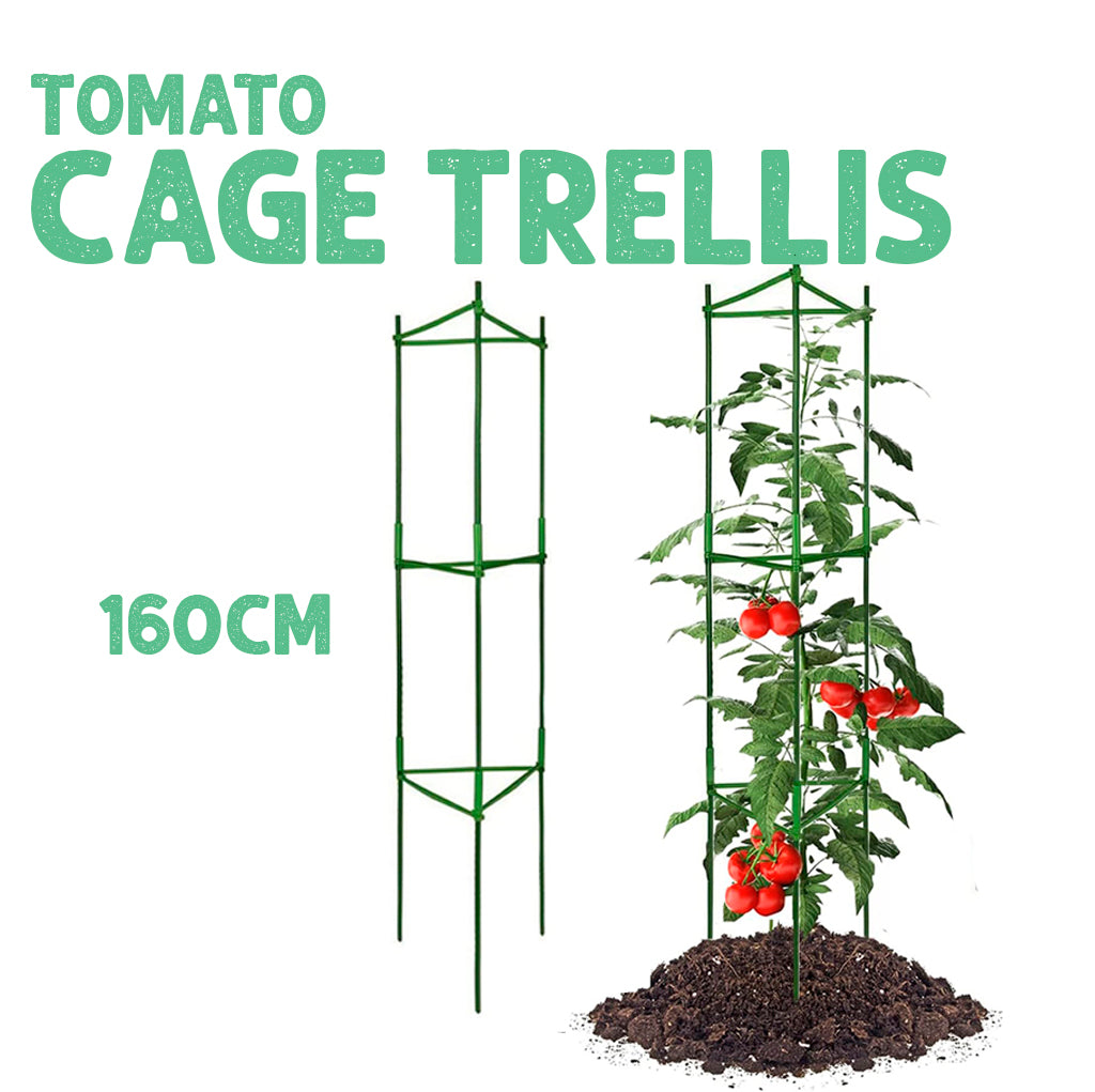 Tomato Cage Trellis 160cm