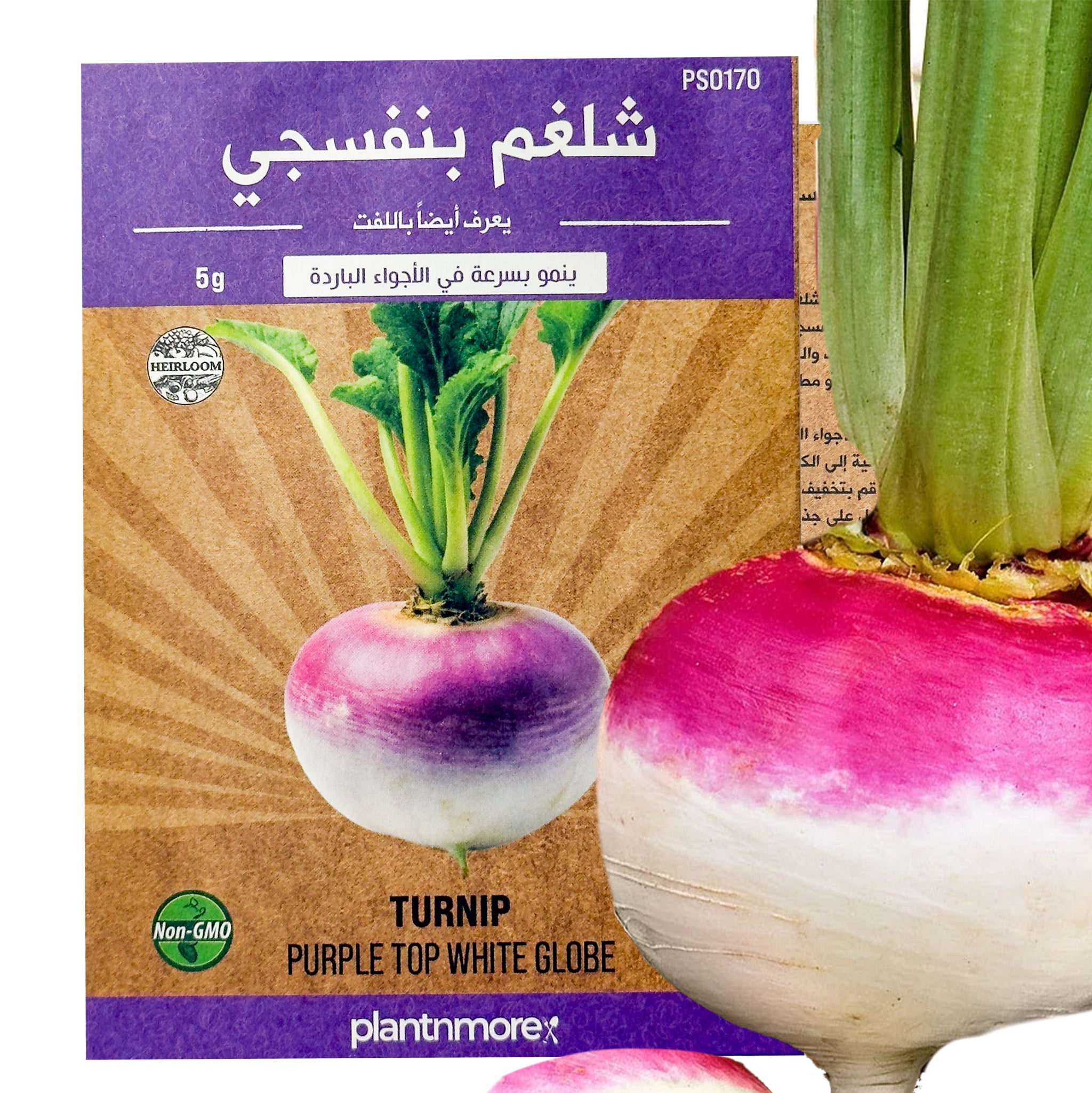 Turnip Purple Top White Globe