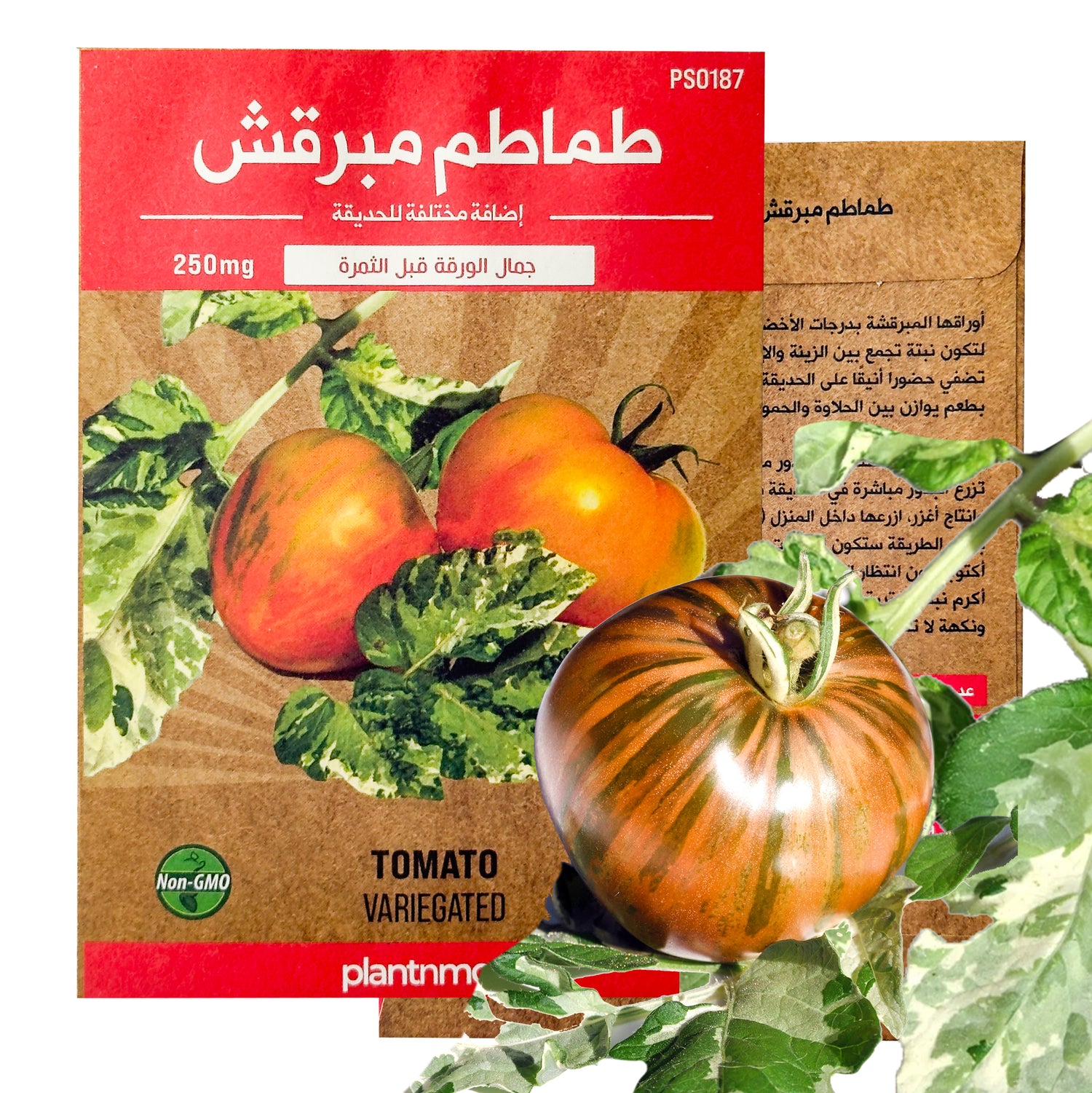 Tomato Variegated