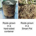 Smart Transplanter ●  حوض التشتيل الذكي - plantnmore