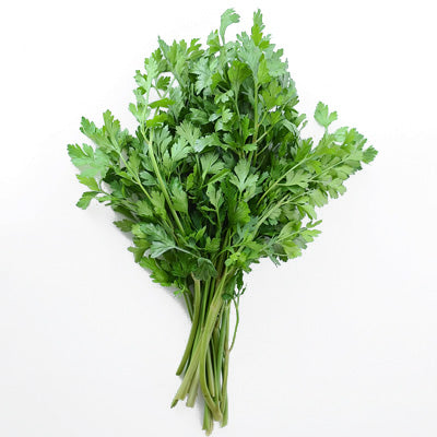 Parsley Italian Flatleaf • بقدونس ايطالي - plantnmore